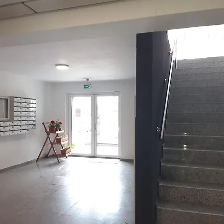 Elissa * Брашов