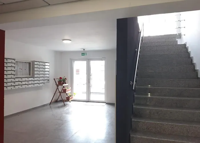 Elissa * Μπρασόβ